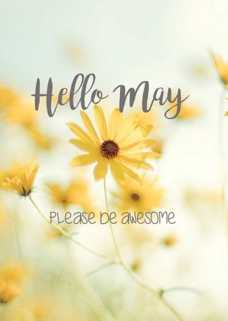 Hello May Quotes
